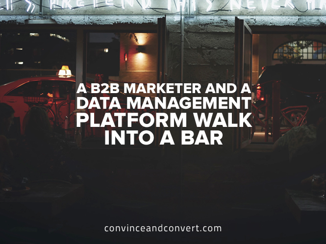 A B2B Marketer and a Data Management Platform Walk Into a Bar